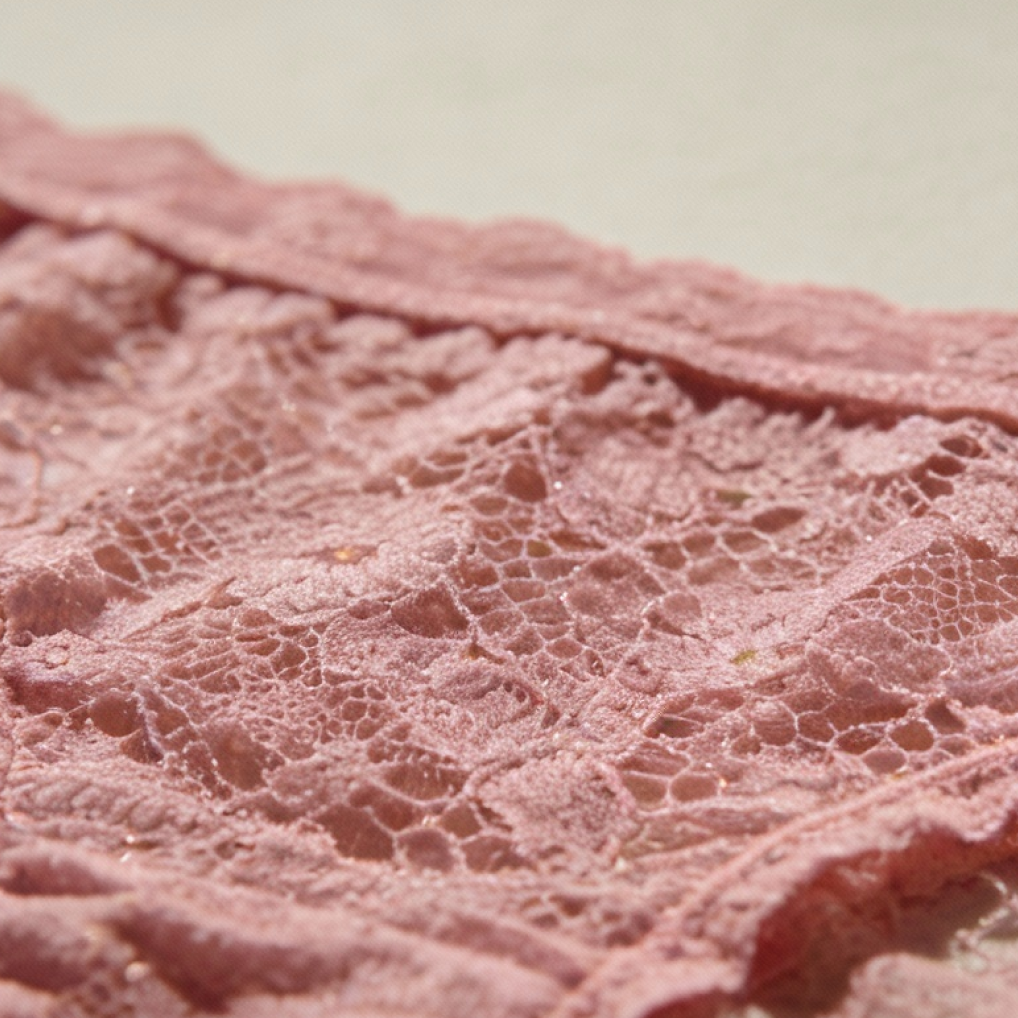 LACE CALEÇON PANTY WITH HIGHER WAIST AND COTTON LINING