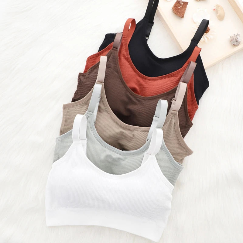 WOMEN'S SEAMLESS SPORTS BRA WITH PADDING.